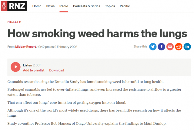 RNZ interview on cannabis effects on lung health