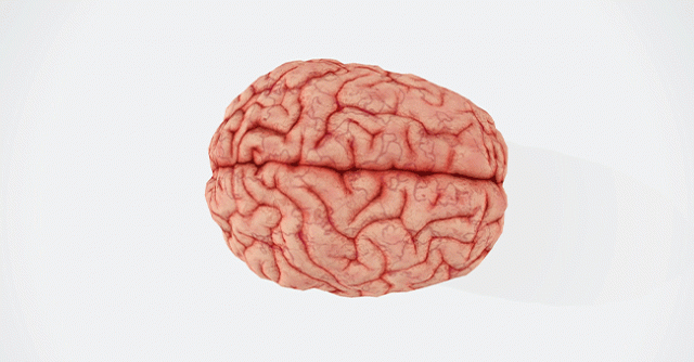 Finding the early signs of Alzheimer's disease